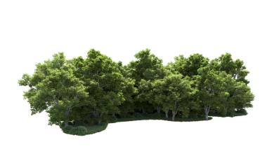 Beyaz arka planda izole edilmiş ağaç. 3d resimleme