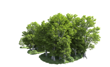 Ağacı beyaz üzerine üç boyutlu biçimlendirme