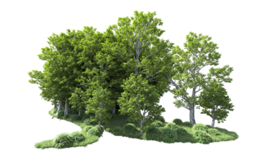 Siyah arkaplandaki ağaçların 3 boyutlu çizimi