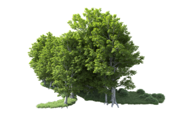 Siyah arka planda izole edilmiş yeşil ağaç. vektör illüstrasyonu