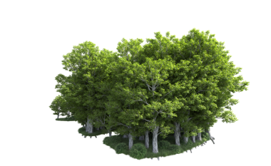 Siyah arkaplanda izole edilmiş 3 boyutlu illüstrasyon ağacı