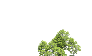 Siyah arka planda yeşil orman.