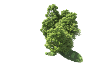 Yeşil arkaplandaki İsviçre haritası