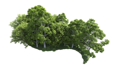 Siyah arkaplanda izole edilmiş yeşil orman 3 boyutlu resimleme