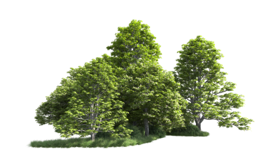 Beyaz arka planda izole edilmiş ağaç. 3d illüstrasyon - illüstrasyon