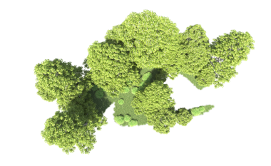 siyah arka plan üzerine izole brokoli