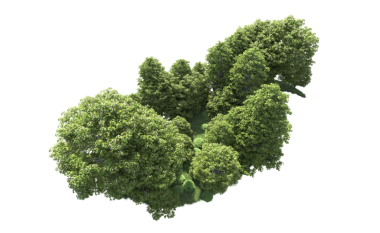 Beyaz arka planda izole edilmiş yeşil çam ağacı. 3 Boyutlu Hazırlama