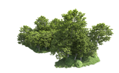 yeşil zemin üzerine ağaç