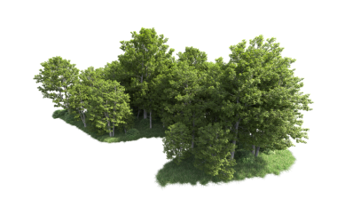 Yeşil ağaçların 3 boyutlu çizimi