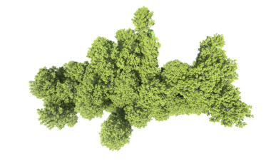 Beyaz arkaplanda 3 boyutlu yeşil yosun izole edildi..