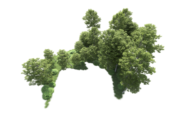 siyah bir arka plan üzerinde yeşil ağaçlar