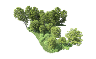 Beyaz arka planda izole edilmiş ağaç ormanı. 3d oluşturma