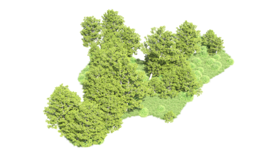 siyah arka plan üzerine izole yeşil çimen