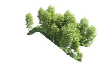 Orman ağaçları beyaz arka planda izole edilmiş. 3d illüstrasyon