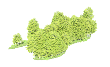 Beyaz arkaplanda 3 boyutlu yeşil ağaç görüntüleme