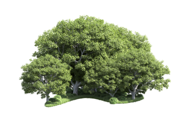 Beyaz arkaplanda izole edilmiş yeşil bir ağacın 3 boyutlu resmi