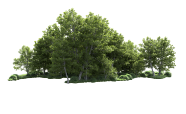 Siyah arka planda yeşil ormanın 3 boyutlu bir çizimi