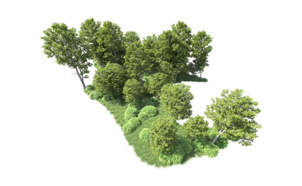 Beyaz arka planda izole edilmiş ağaç ormanı. 3d oluşturma