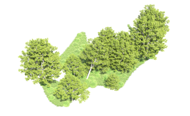 Yeşil orman beyaz arka planda izole