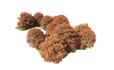 Beyaz arkaplanda izole edilmiş kenevir yaprağı