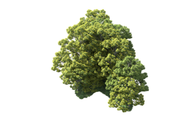 Koyu arkaplandaki ağaç, 3 boyutlu resimleme