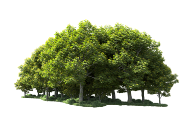 izole edilmiş yeşil arkaplan.