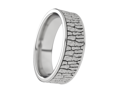 Gümüş alyans. 3 Boyutlu Hazırlama