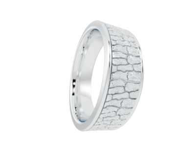 Gümüş bilezikli yüzük