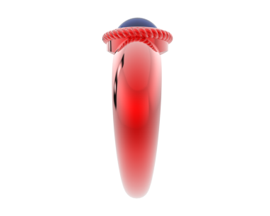 İnsan beyni anatomisi, 3 boyutlu görüntü.