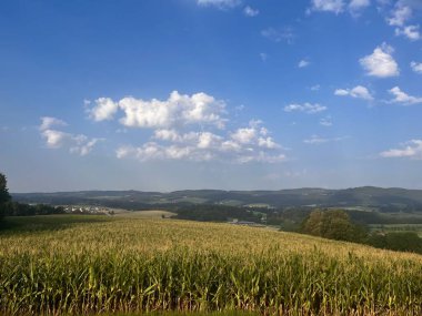 Güneşin altındaki bir tarlanın güzel manzarası.