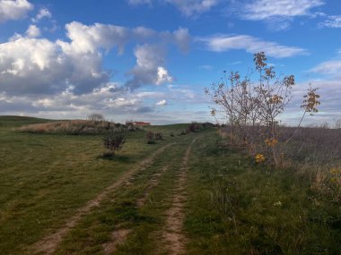 Kırsaldaki bulutlu gökyüzünün altında yeşil çimenli bir arazinin dikey görüntüsü.