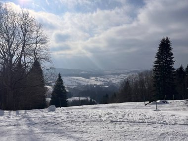 Karla kaplı ağaçlarla kaplı güzel kış manzarası