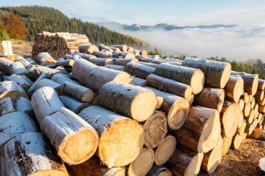 Dağlarda karla kaplı odun yığını. güneşli fotoğraf.