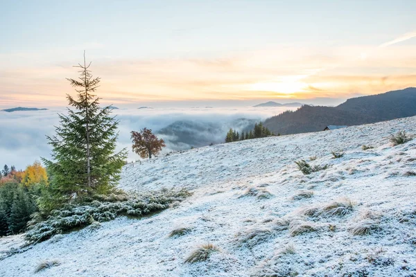 Foggy morning above the mountains. Beautiful sunrise with first snow in autumn landscape