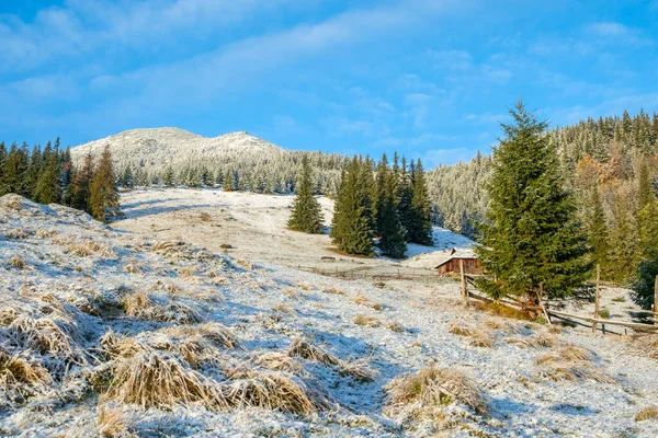 Colorful Autumn Trees Mountains First Snow Sunny Day Carpathian Landscape — Stock Photo, Image