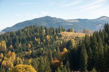 Dağlarda güzel bir sonbahar öğleden sonra. Sonbahar renklerinde bir tepenin kenarındaki ağaçlar. Ukrayna 'nın harika kırsalında akşam güneşli bir havada