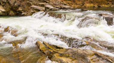 Ukrayna Karpatları 'nda manzaralı bir bahar şelalesi. Büyük kahverengi kayaların arasında güzel bir nehir akıyor..