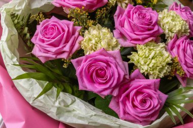 Soluk yeşil karanfillerle çevrili canlı pembe bir gülün yakın çekimi. Çiçek, romantik ve doğa teması için mükemmel..