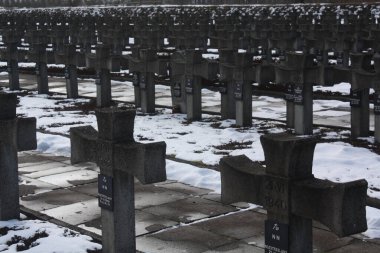 Dünya Savaşı sırasında, 1939 ve 1943 yılları arasında, köy ve çevre orman, Polonya 'da Alman AB-Aksiyonu sırasında öldürülen Yahudi, Polonyalı aydınlar, politikacılar ve atletlerin Nazi Almanyası' nın toplu infazlarının yapıldığı yerlerden biriydi..