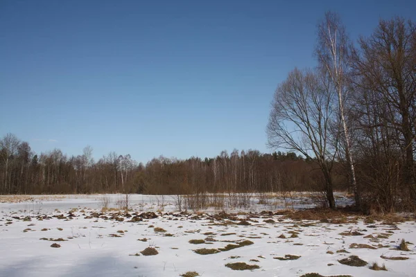 Winterweide Het Nationale Park Kampinowski — Stockfoto
