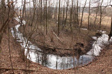 Jeziorka Öksürük Gölü baharda Jeziorka Vadisi 'nde