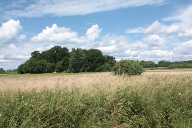 Kashubian tepeleri çiçek açan çayırlar ve ağaçlarla kaplı güzel bir yerdir..