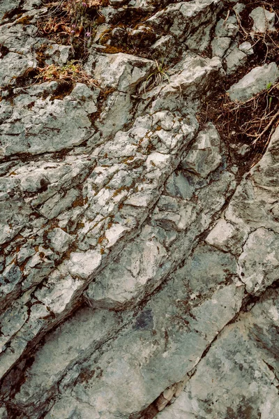 Particolare Roccia Montana Sulle Rive Del Lago Verticale — Foto Stock