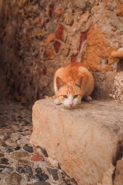 Marzameni, Sicilya, İtalya - 16 Mart 2022: Eski Sicilya köyünde portre portresi