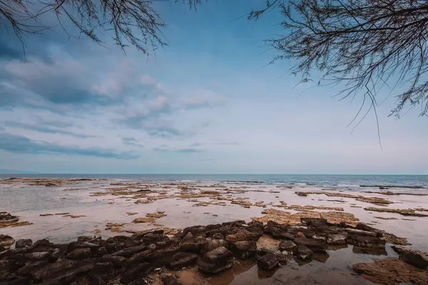Marzameni Sycylia Włochy Marca 2022 Panoramiczny Widok Skalistą Plażę Gałęziami Zdjęcie Stockowe