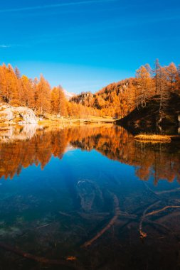 Alpe Devero, Italy - 10 November 2024: Autumn Reflections on Lake of Witches, Alpe Devero, Italy clipart