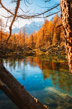 Alpe Devero, Italy - 10 November 2024: Alpine Lake with Golden Fall Colors in the Mountains clipart