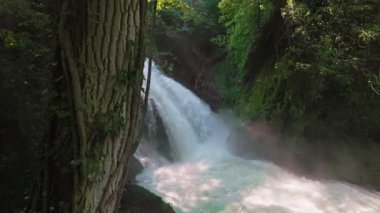 Marmore Şelalesi, Umbria - 19 Ağustos 2025: Umbria 'daki şelalenin hareketli manzarası, yazın güçlü akış, sprey ve çevreleyen ağaçları gösteriyor