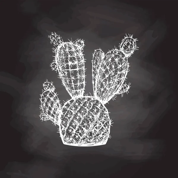 Ręcznie Rysowany Szkic Wektora Kaktusa Biały Element Izolowany Tle Tablicy — Wektor stockowy