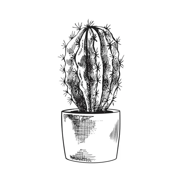 Kézzel Rajzolt Vektorvázlat Egy Kaktuszról Egy Edényben Elszigetelt Elem Tervezéshez — Stock Vector